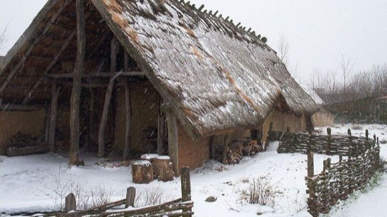 The Viking Winter Survival Guide: Heat, Food, and Mental Fortitude in the Dark